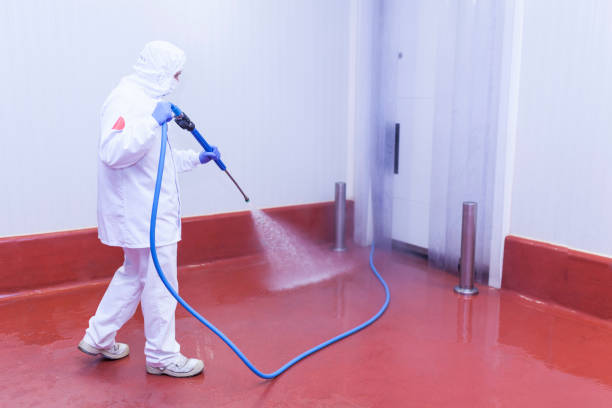 Best Heavy Equipment Washing  in Holmes Beach, FL