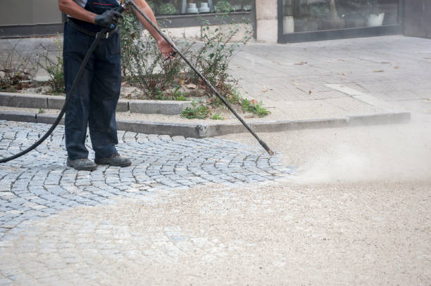 Best Roof Washing  in Holmes Beach, FL